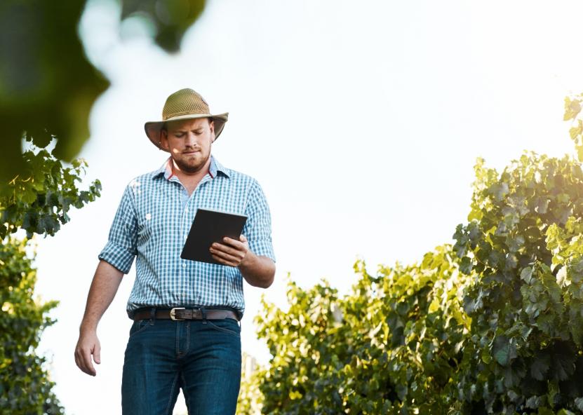 Asociatyvi nuotr. Canva nuotr. 