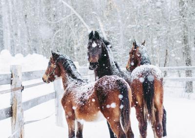 Asociatyvi nuotr. Canva nuotr.