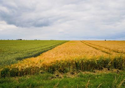 Asociatyvi nuotr. NMA nuotr.