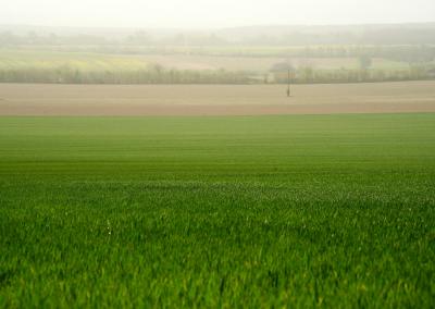 Žemės ūkio ministerijos nuotr.