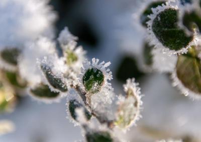 Asociatyvi nuotr. ŽŪM nuotr.