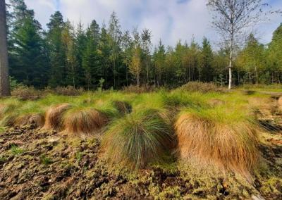 Asociatyvi nuotr. Dinetos Babarskienės nuotr.