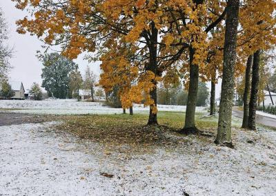 Gintas Černauskas Lazdijų r. 2023 metų spalis.