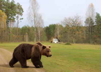 Dirbtinio intelekto sugeneruota nuotr.