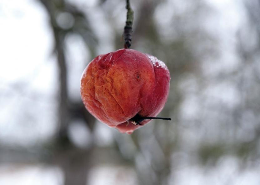 Asociatyvi nuotr. Pasvalio Darbas nuotr. 