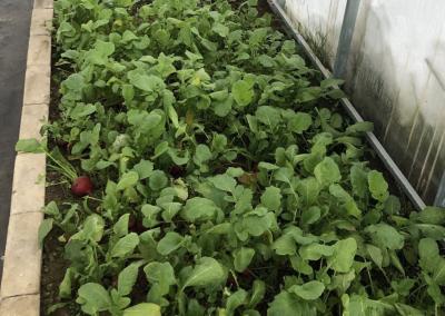 Dzūkų žinių nuotr.