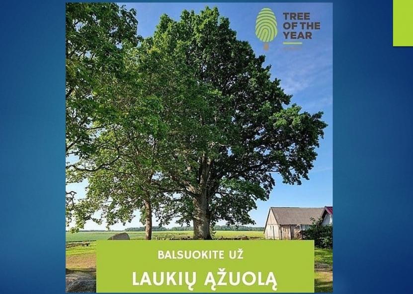 Saugomų teritorijų tarnybos nuotr. 