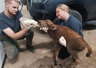 Šilutės naujienų nuotr.